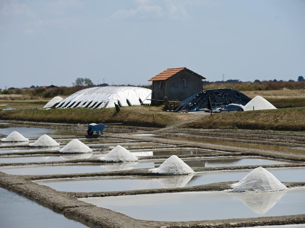 Huttopia Noirmoutier מראה חיצוני תמונה